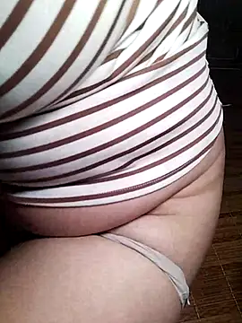 -sansan- webcam