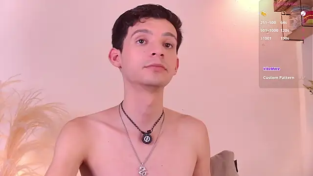 VicenteFerrer live cam