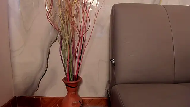 Valentina_nm webcam