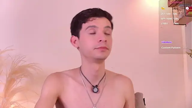 VicenteFerrer live cam