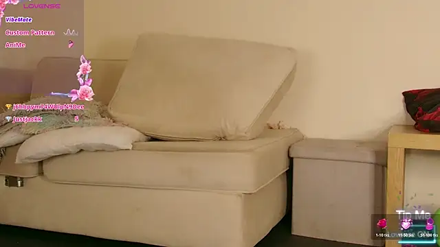Milky_flexy_cat webcam