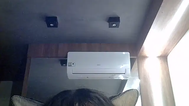 SkinnyKitten Live Web Cam Show