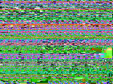 PatrickFFM webcam