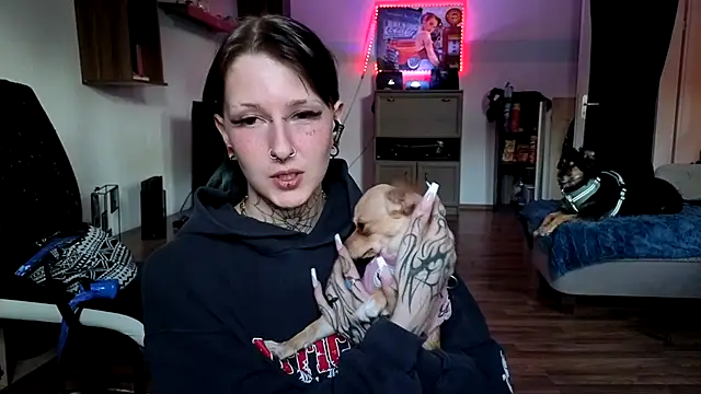 BlueVelvetBat webcam