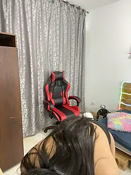 Lia-1212 webcam