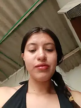SALOME-28_ webcam