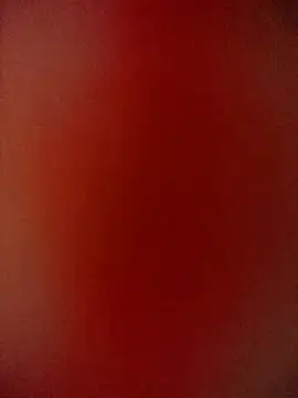 -Bongg- live webcam show