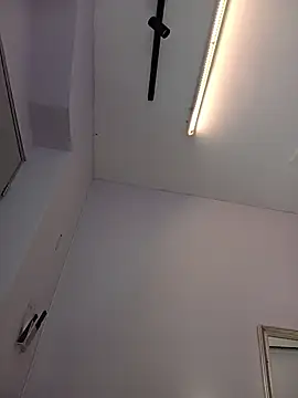 haileystone webcam