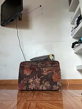 ikaro21's live cam