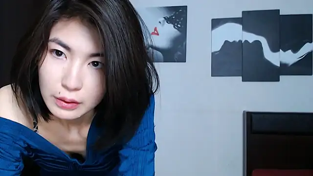 traxexe webcam