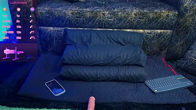 BrayaanFit webcam