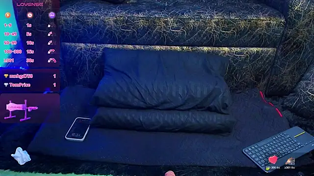 BrayaanFit webcam