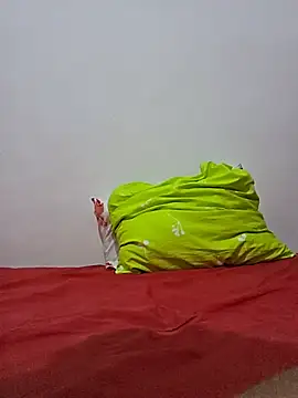 altinya webcam
