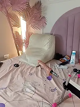 Nalapalmer webcam