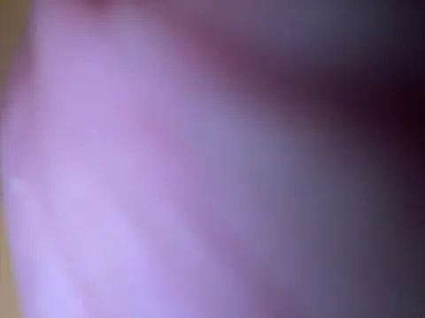 Marco111611 webcam