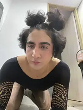Modelo: SamaraPike