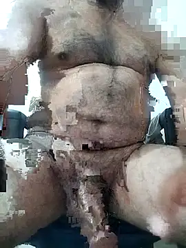 Pitercom webcam