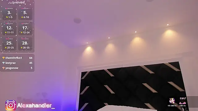 Alexa_Handler webcam