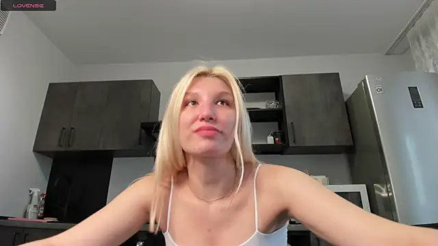 Linaa_Land webcam