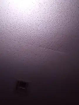 Blkstylion webcam