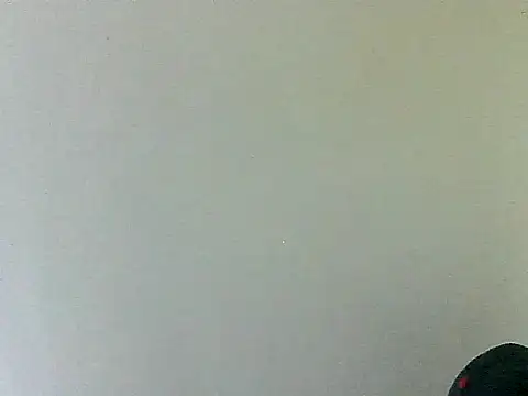 thomas2wood webcam