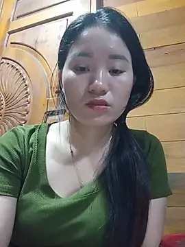 Td3di webcam