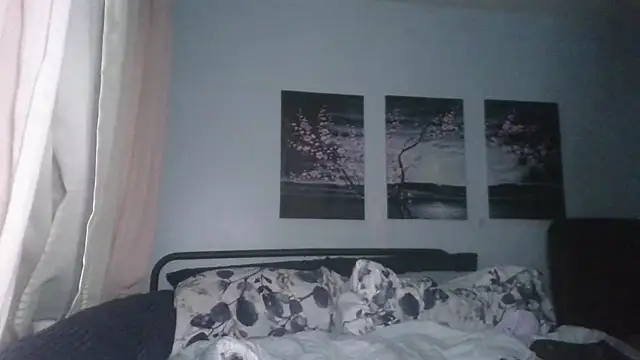 UrBRat webcam