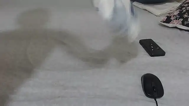 Bby-Nova webcam