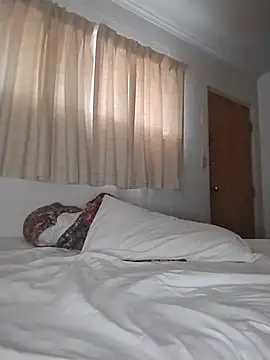 THEBEDroomdoOR webcam