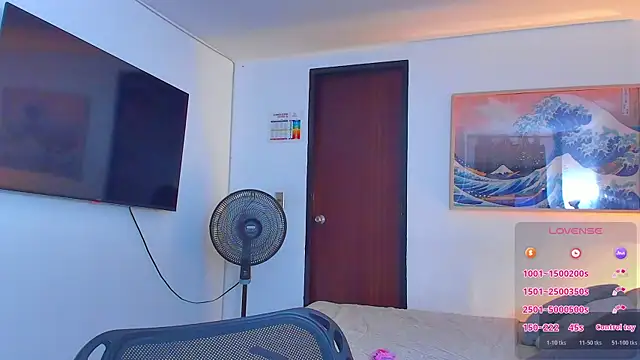 RJBarto webcam