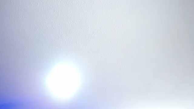 _Charlotte_Collins_ webcam