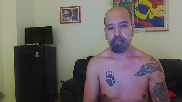 AMIRDIB2025 webcam