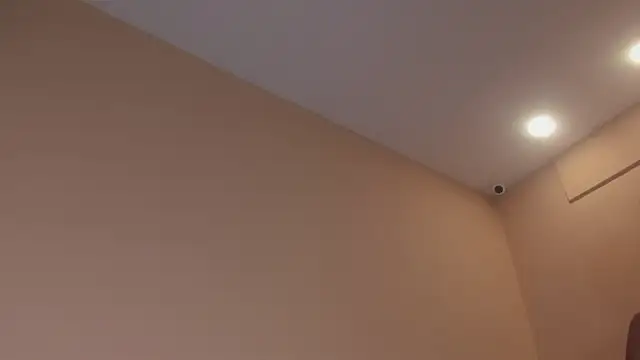 ale_cam webcam