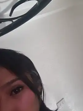 HeartOfAsia- webcam