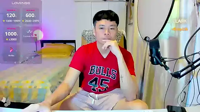 clarkdangerous webcam