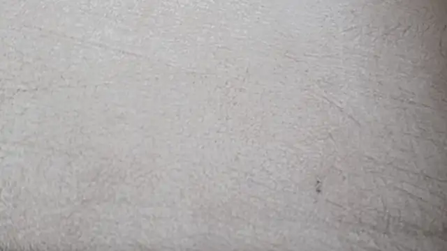 nastysweettmom webcam