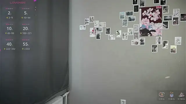 DellaLeck webcam