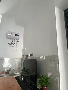 daaqnn webcam