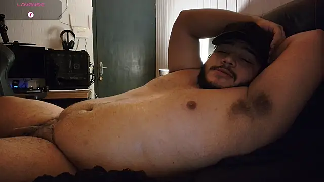theusxbear live cam on StripChat