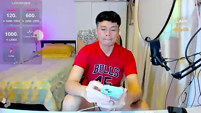 clarkdangerous webcam