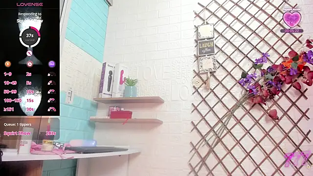 SALOME_KORLAND webcam