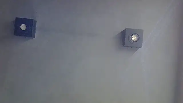 SkinnyKitten webcam