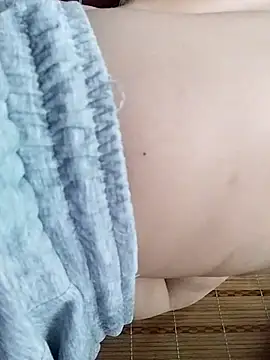 -sansan- webcam