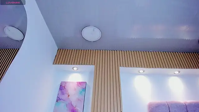 1Sloppy_Fox4 webcam