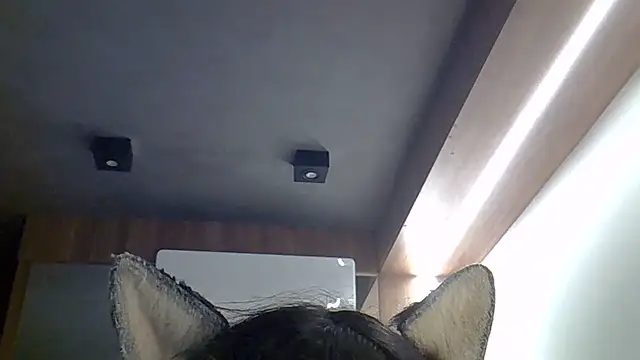 SkinnyKitten webcam