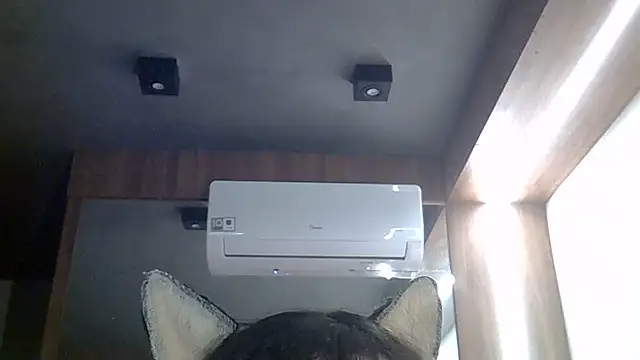SkinnyKitten webcam