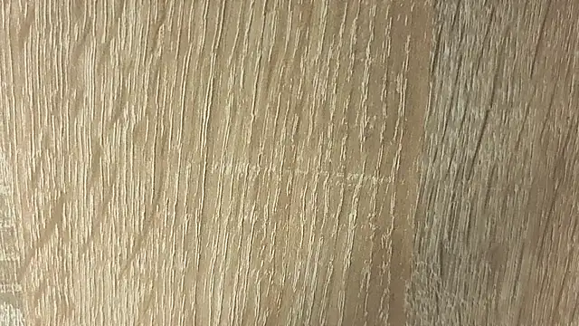 NoFace_Model webcam