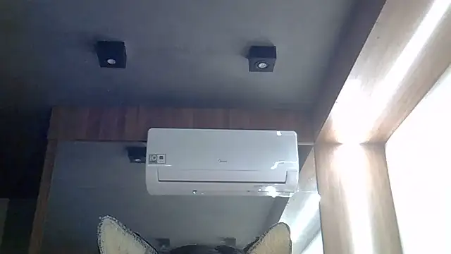 SkinnyKitten live cam