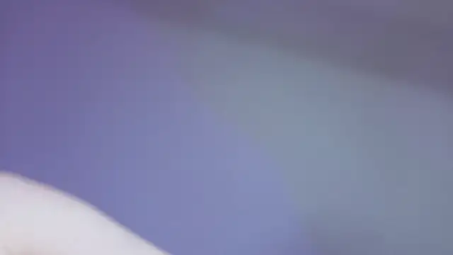 L1ittle_kitty_