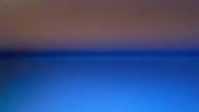 AdonisNarcissus webcam